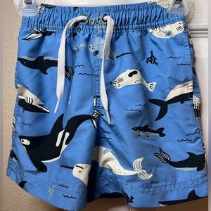 Boys Swim Trunks